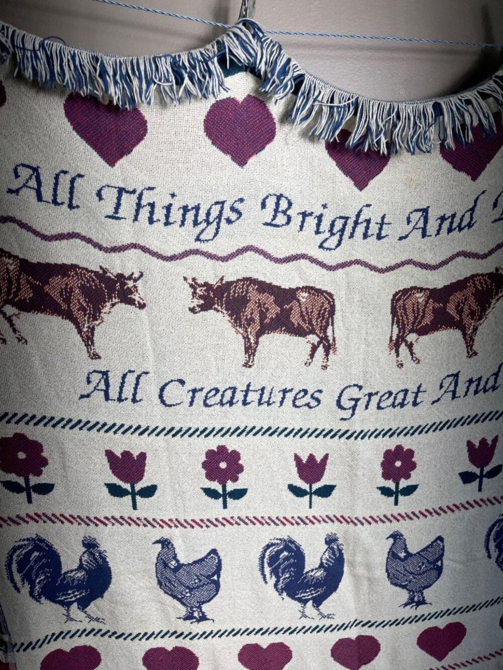 Farmhouse Cotton Blanket Throw All Things Bright Fringe Americana Folk Farmhouse - Picture 4 of 5